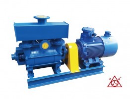 江苏2BE水环真空泵